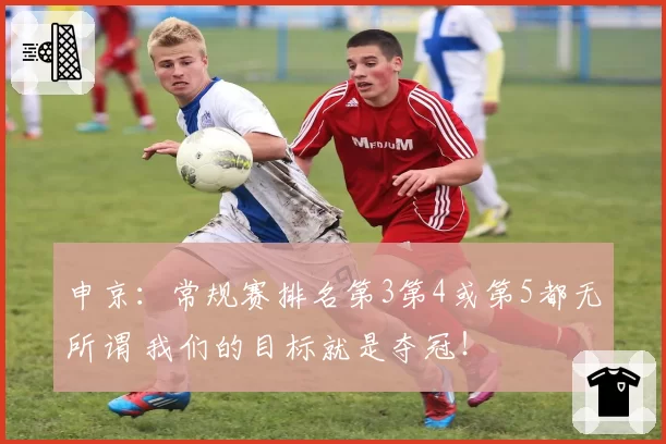申京：常规赛排名第3第4或第5都无所谓 我们的目标就是夺冠！